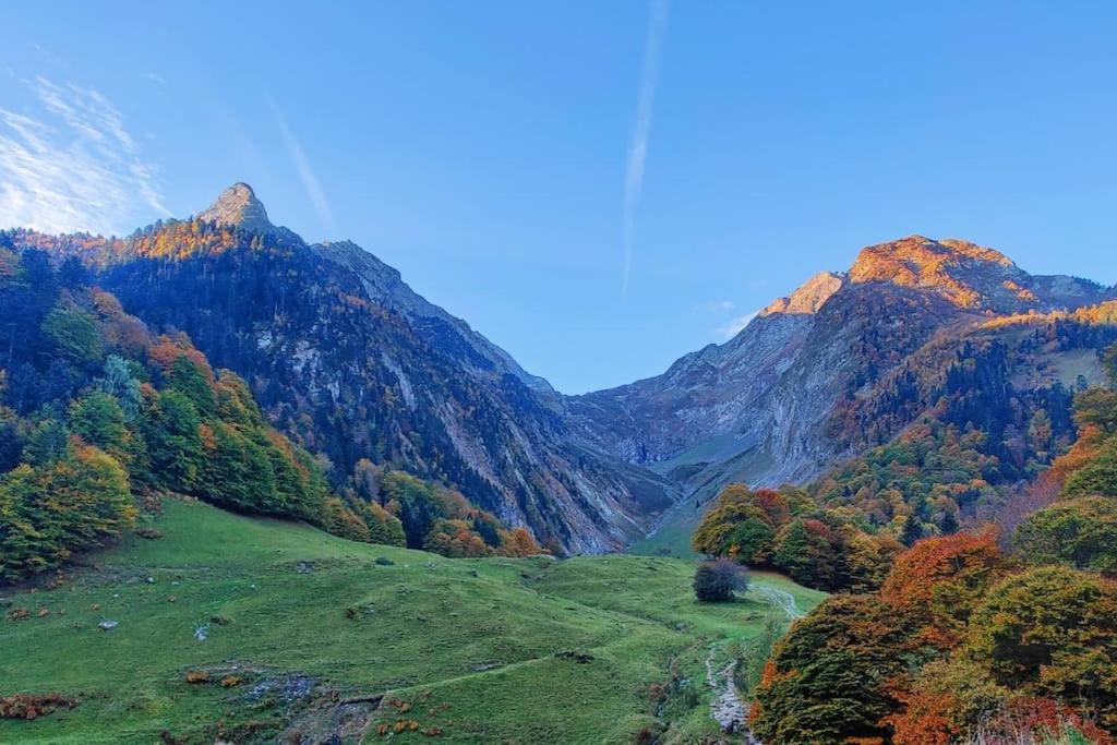 Logement 6 Pers Au Coeur Des Montagnes Pyreneennes Linge De Maison Et Papier Toilette Non Fournis Boutx Eksteriør billede