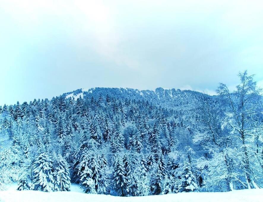 Logement 6 Pers Au Coeur Des Montagnes Pyreneennes Linge De Maison Et Papier Toilette Non Fournis Boutx Eksteriør billede