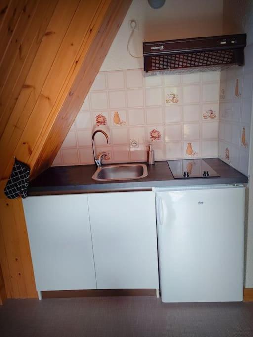 Logement 6 Pers Au Coeur Des Montagnes Pyreneennes Linge De Maison Et Papier Toilette Non Fournis Boutx Eksteriør billede