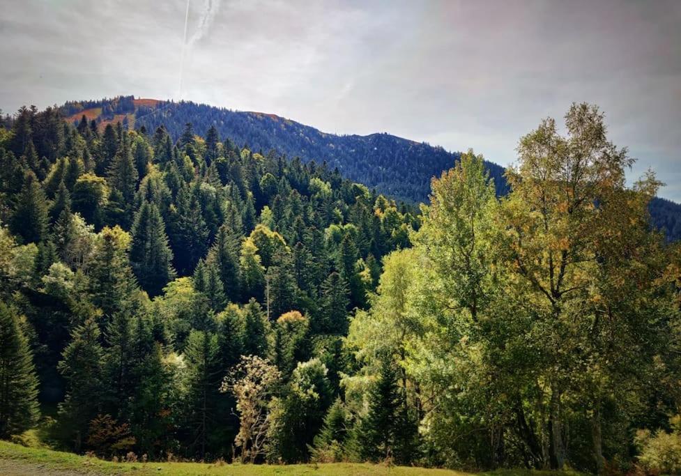 Logement 6 Pers Au Coeur Des Montagnes Pyreneennes Linge De Maison Et Papier Toilette Non Fournis Boutx Eksteriør billede